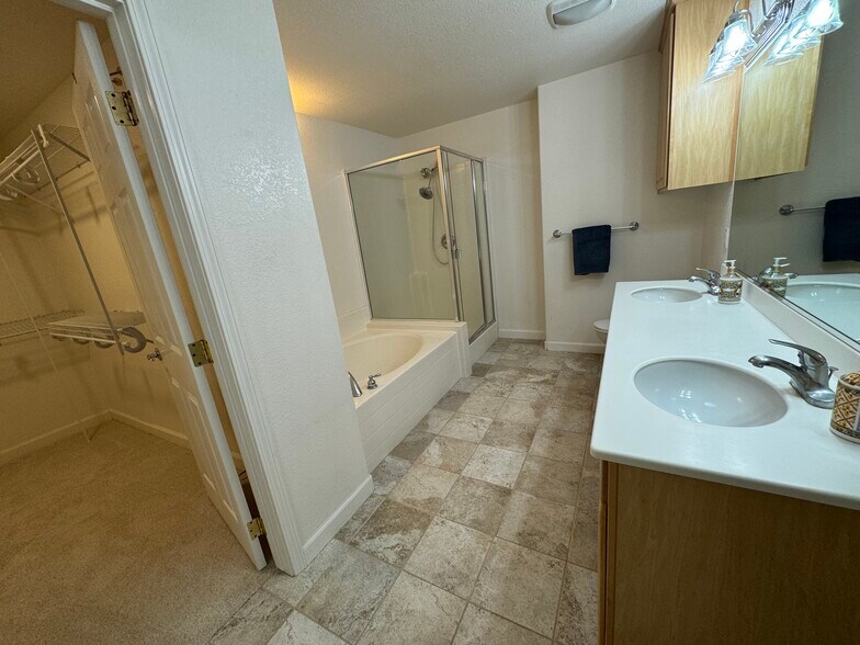 master bath with separate bath, shower, double sinks and extra closet - 380 Greendale Ct