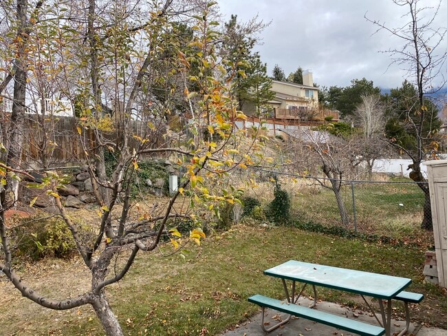 Building Photo - 2333 Cliff Swallow Dr