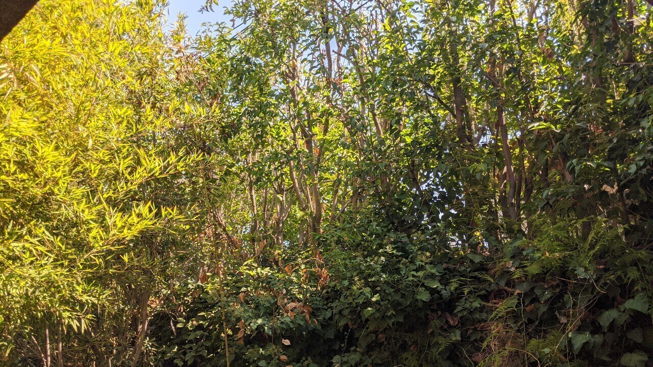 Building Photo - 836 N La Jolla Ave