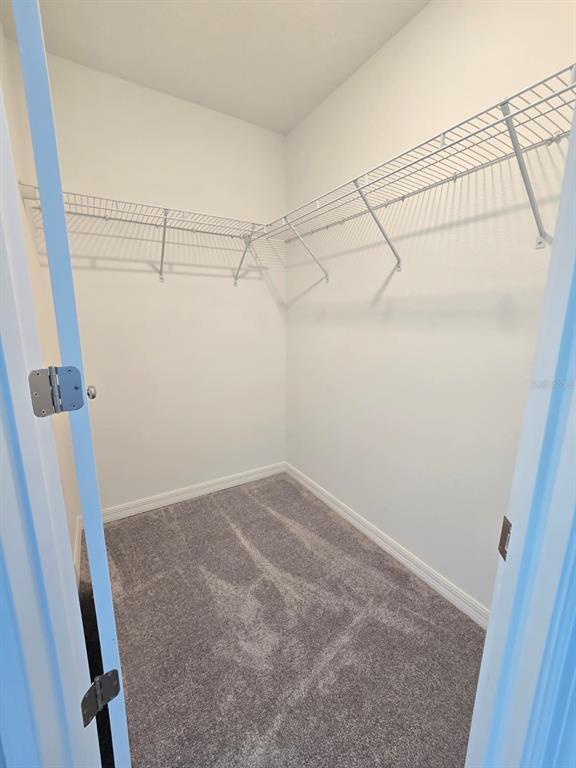 Building Photo - 2646 Sunray Venus Wy