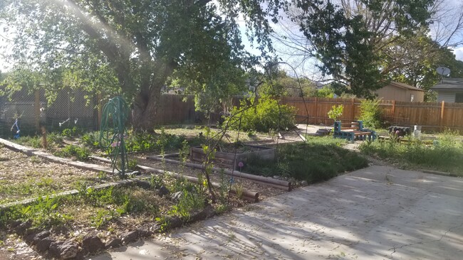 Back yard - garden space. - 2965 Caradoc St