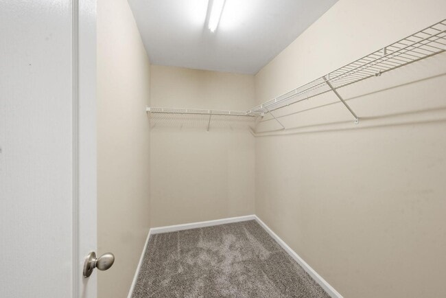 Building Photo - 3527 Londonville Ln