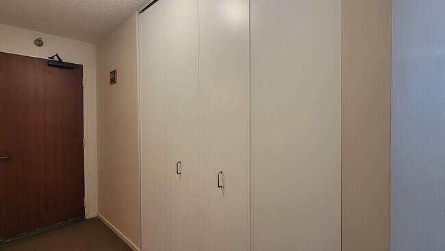 Building Photo - 440 N McClurg Ct