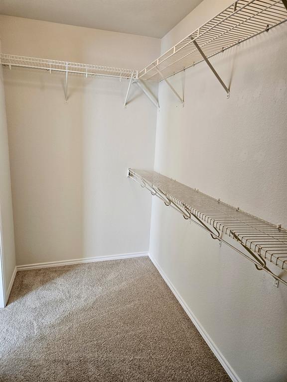 Building Photo - 917 Sebastian Bend