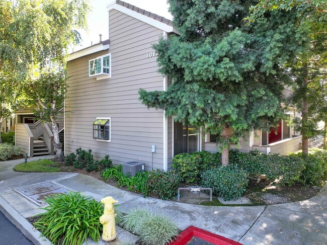 Building Photo - 1083 Shadowridge Dr