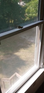 view out the upstairs window. - 2020 Elmhurst Ln