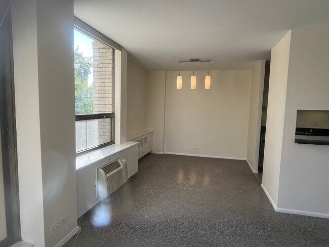 Building Photo - 1360 N Sandburg Terrace