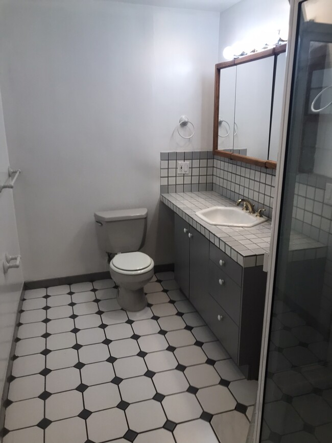 Primary en suite - 459 N Alfred St