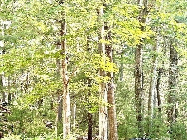 Building Photo - 20 Algonquin Rd