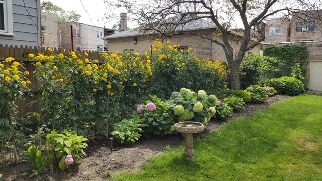 Yard - 1911 W Winnemac Ave