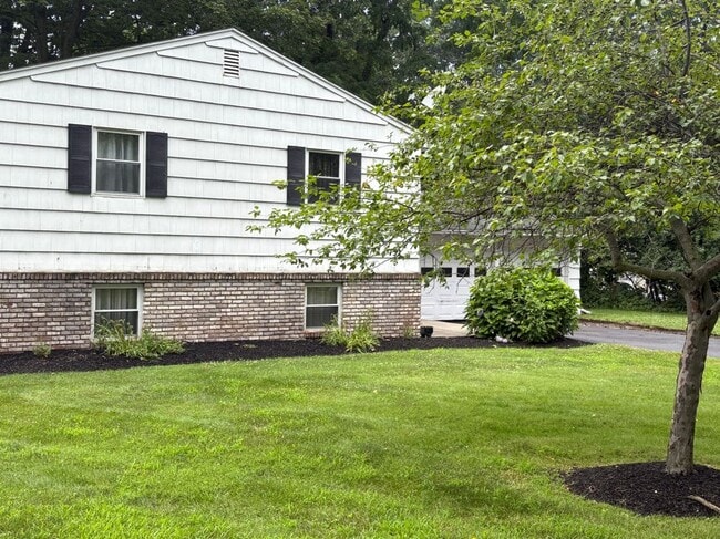 Primary Photo - 732 Liberty St