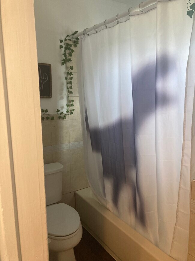 Downstairs Bath - 1 Cottage St