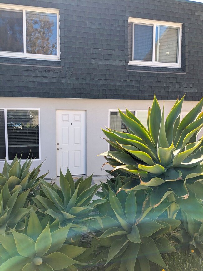 Primary Photo - 641 Shasta Ave