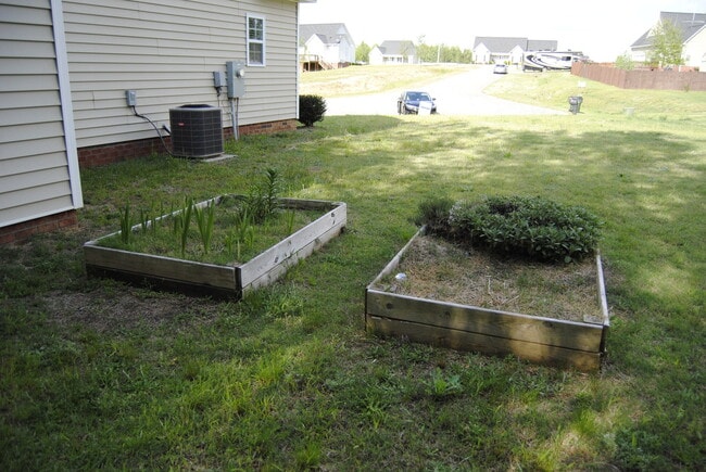 Building Photo - 105 Tillage Pl