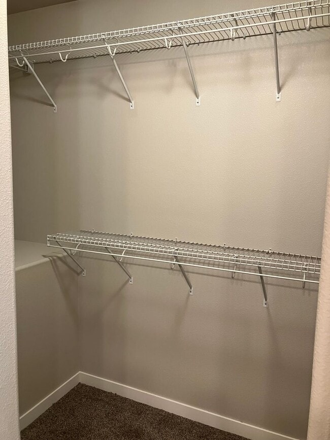 Building Photo - 4 Bed 3 Bath Single Family Home