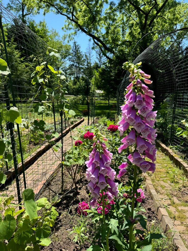 Building Photo - 1357 Canal Rd