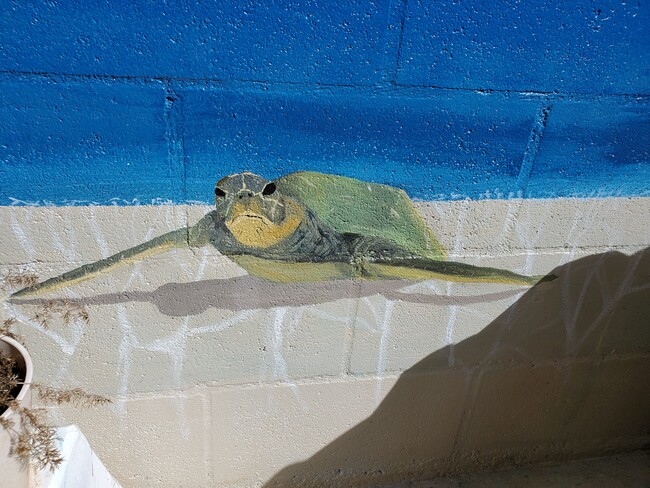 Numerous murals of nature and the ocean life from a local artist who was inspired by Kaneohe life. - 45-217 Lilipuna Rd