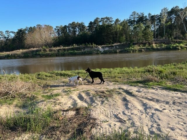 Building Photo - 4639 Sequoia Echo Dr