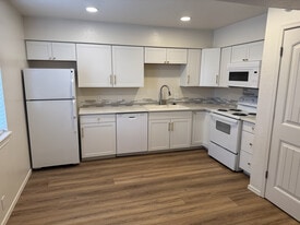 Snow Unit Kitchen - Wilderado Apartments