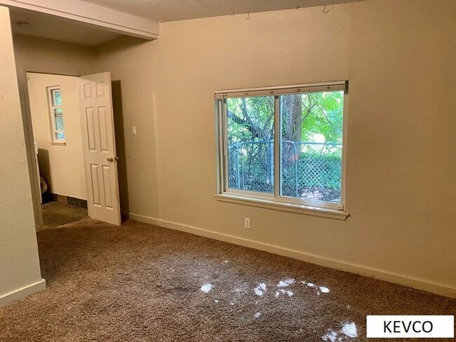 Building Photo - House Just One Block from CSU!