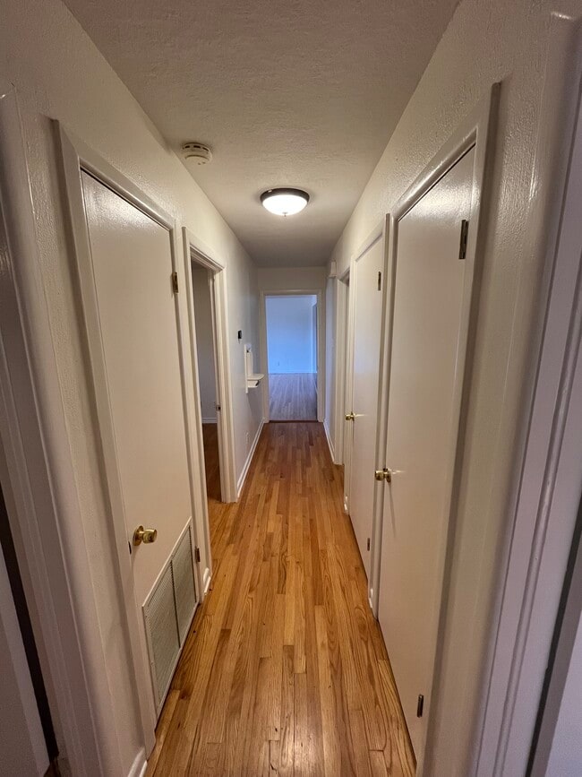 Building Photo - 419 Shannon Lee St