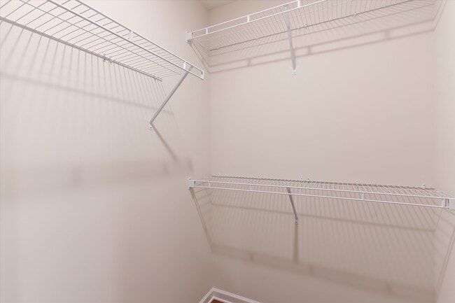 Building Photo - 2805 Cruze Dr