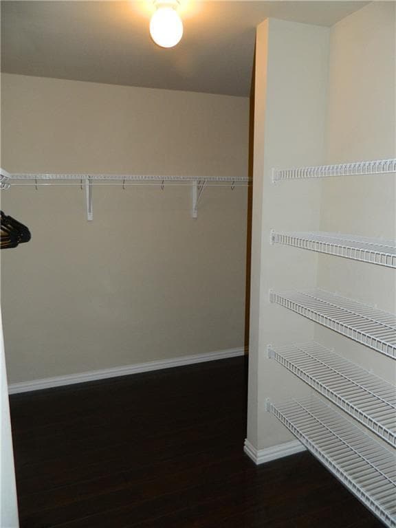 Building Photo - 3149 Henderson Path