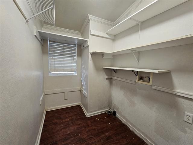 Building Photo - 1616 Milrany Ln