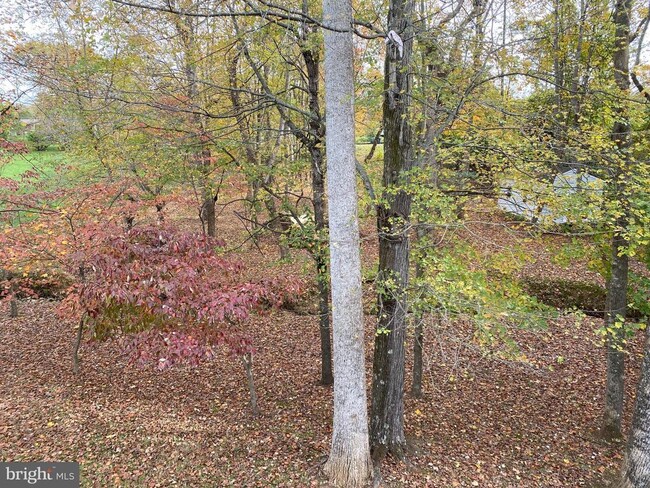 Building Photo - 14075 Wellman Ct