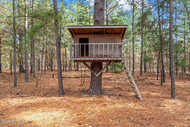 Building Photo - 85 Pine Lake Dr