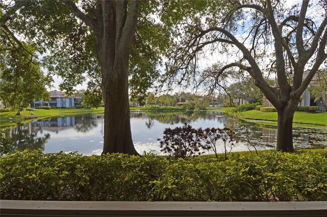 Building Photo - 10265 Gandy Blvd N