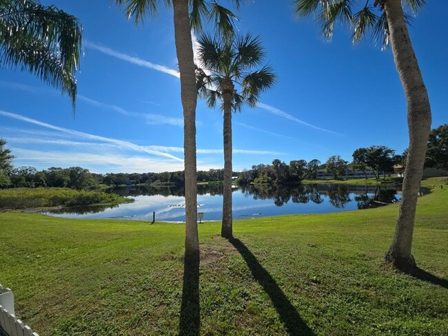 Building Photo - 2-Bedroom, 2-Bathroom Condo in Land O' Lakes