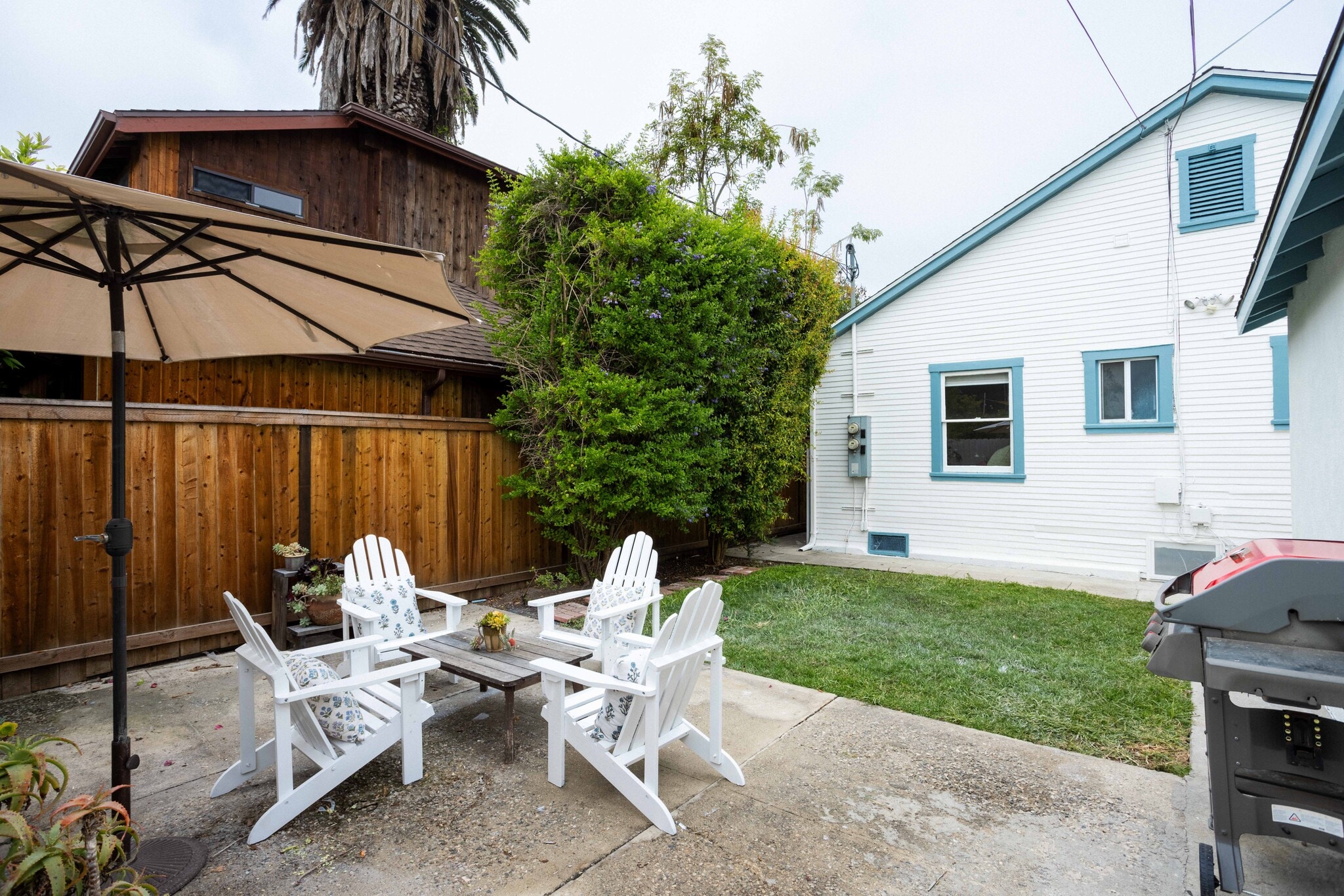 Backyard - 810 Crestmoore Pl