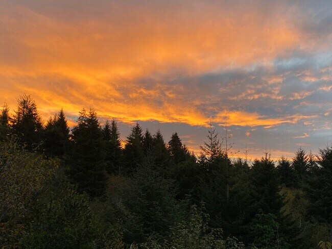 Building Photo - Amazing Bay View 3 bed/3 bath in Coos Bay