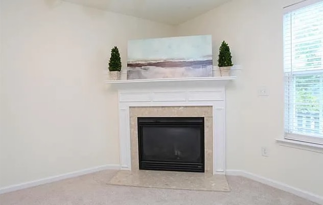 fireplace - 1210 Orchard Oriole Ln