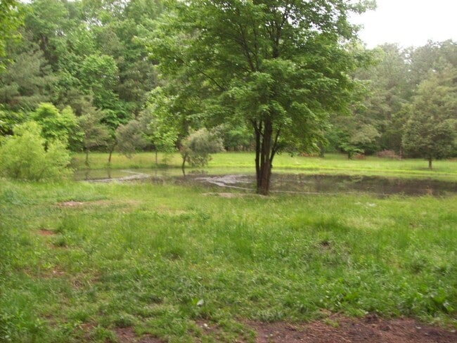 Building Photo - 2 bed  2 bath home in wiht woods with a pond