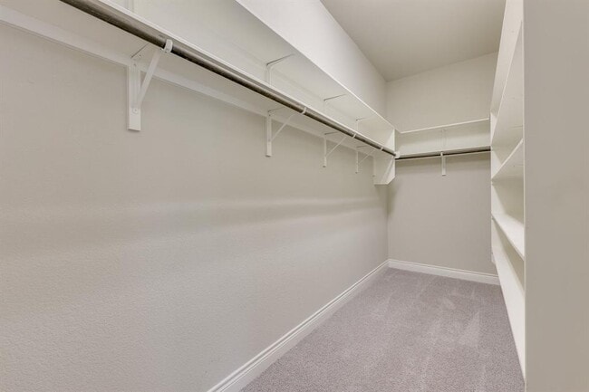 Building Photo - 101 Split Oak Dr