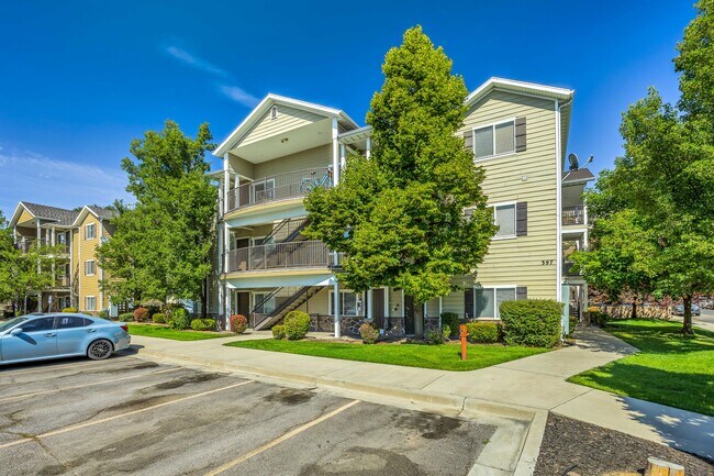 Primary Photo - Cedar Street Holdings