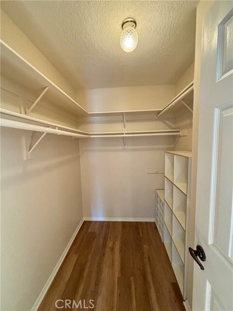 Building Photo - 451 Medford Ct