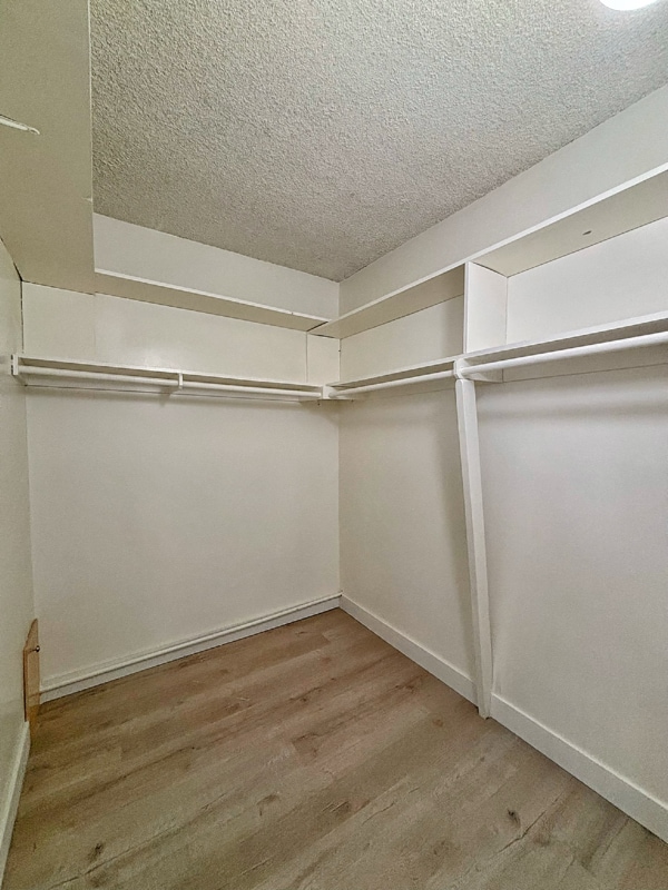 Building Photo - 219 S Lillie Ave