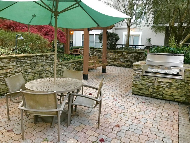 Grilling Area #2 - 4246 River Green Dr NW