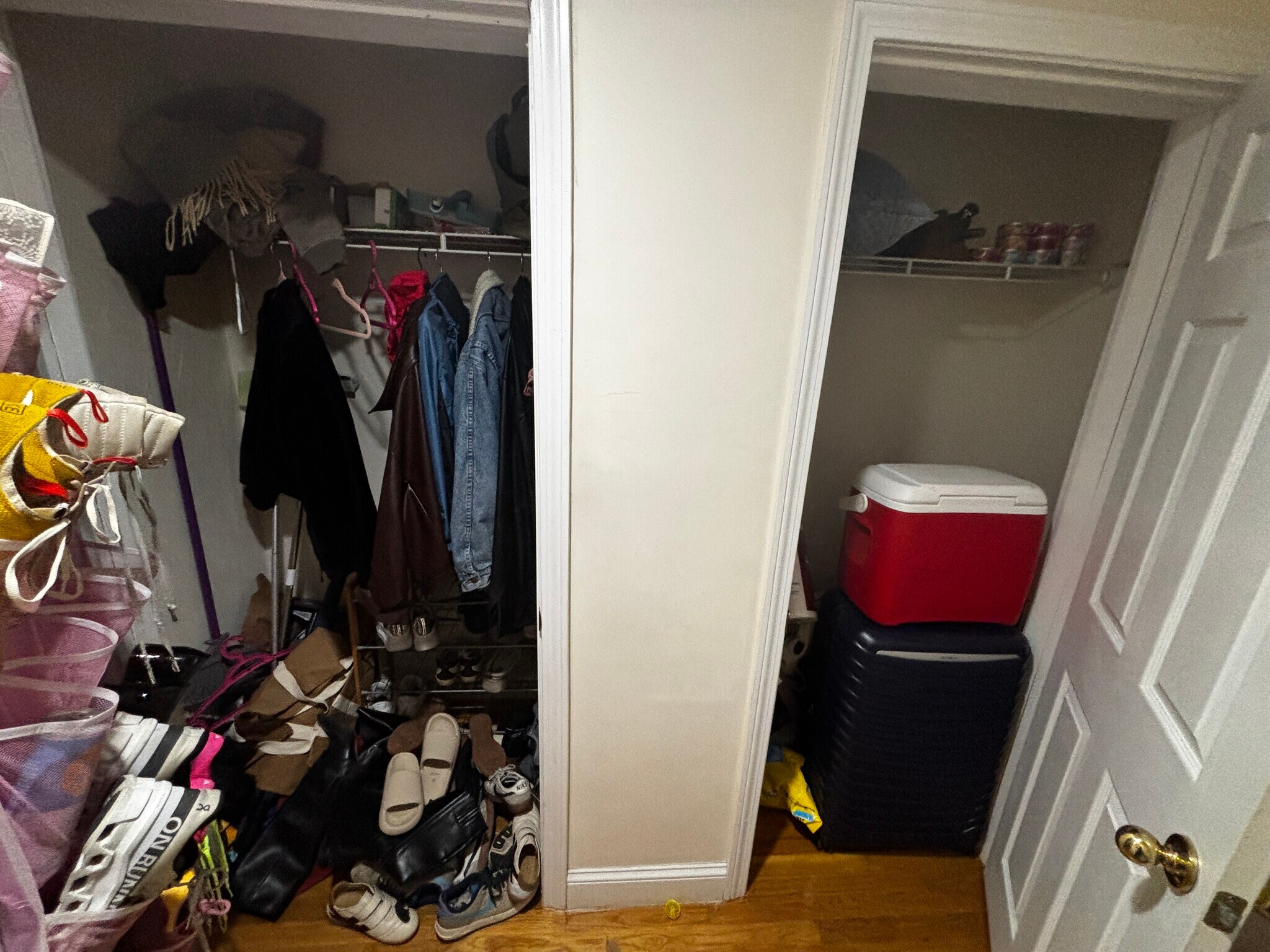 Building Photo - 66 Egmont St