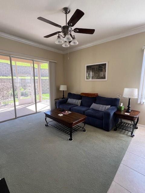 Building Photo - 2427 Caledonian St