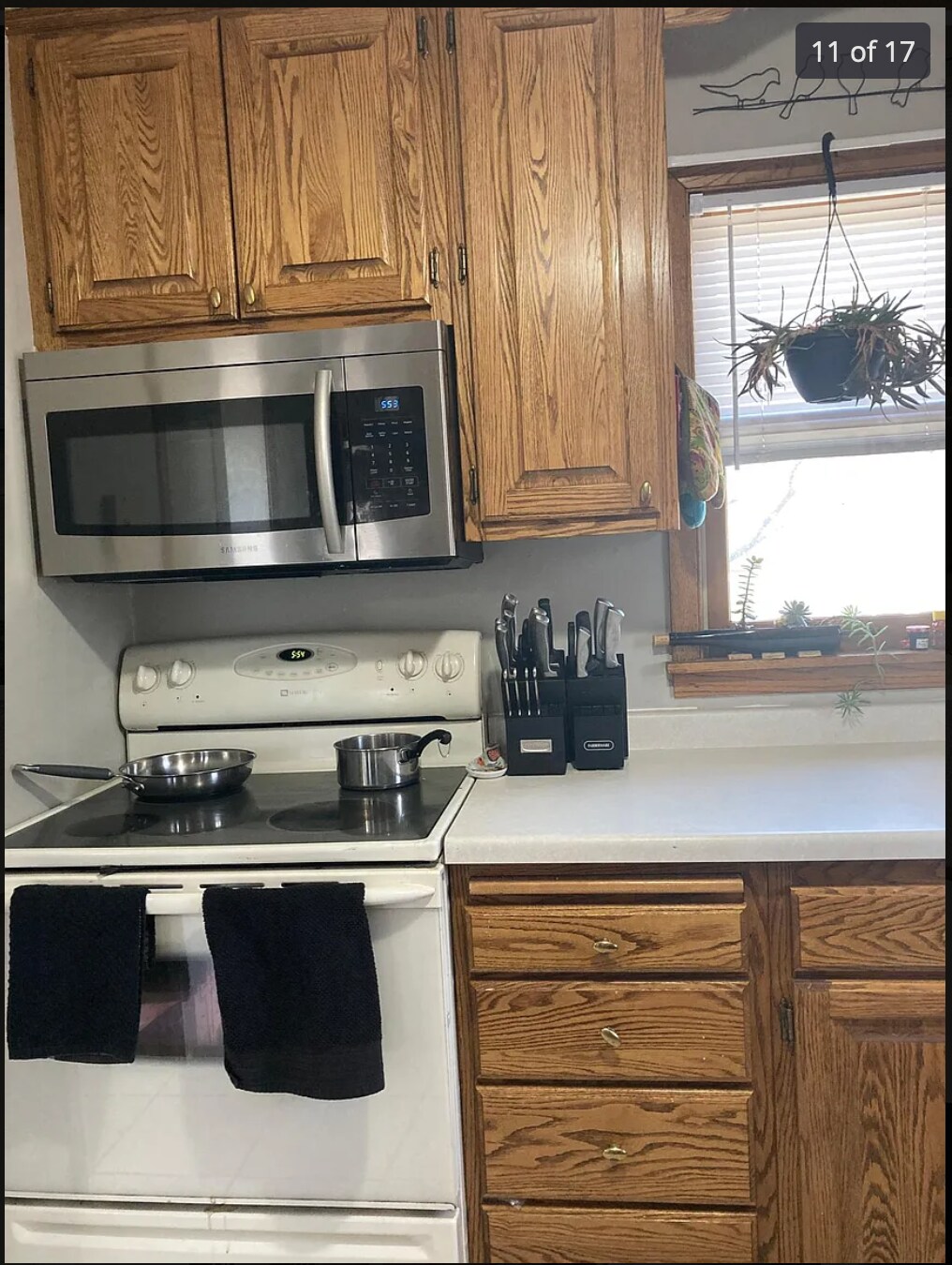 Kitchen - 1225 8th Ave NW