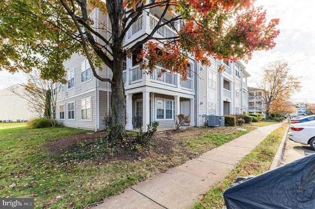 Building Photo - 8091 Lacy Dr