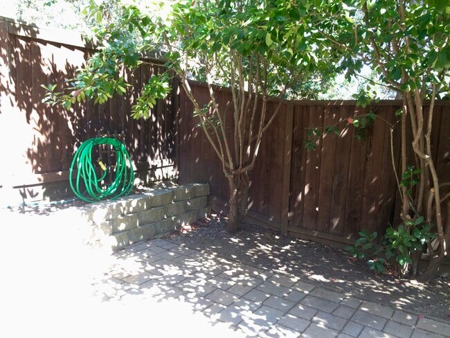 Patio - 2405 Deer Tree Ct