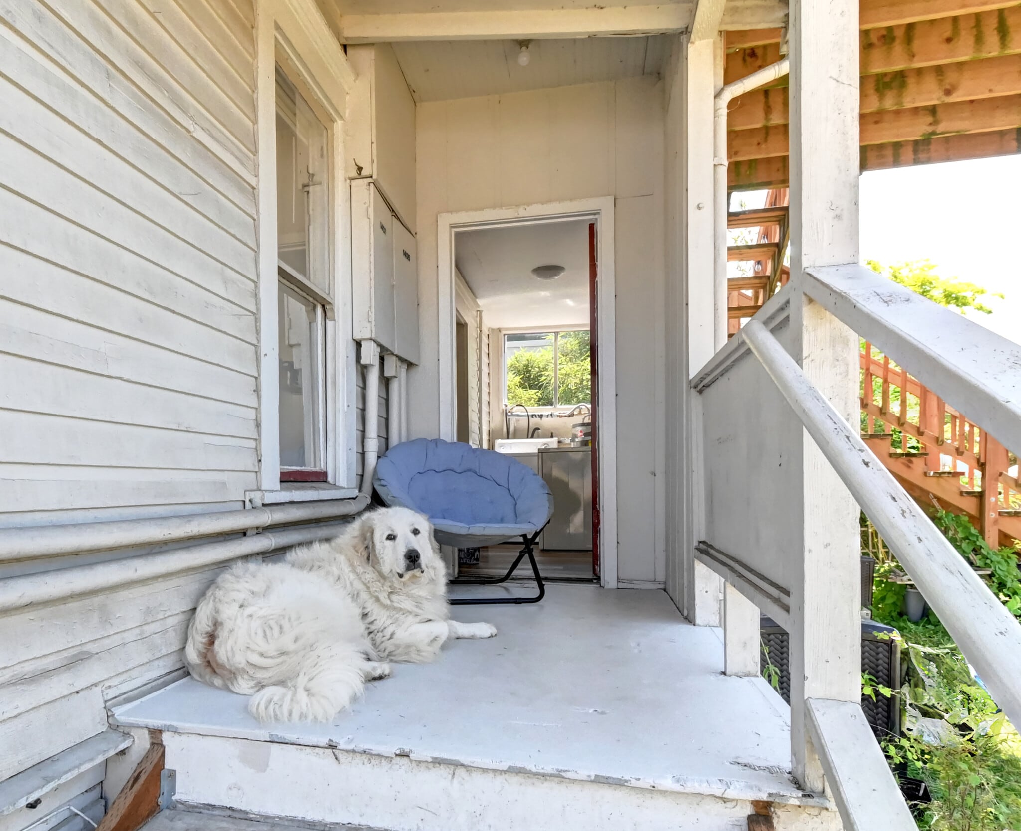 back porch - 1405 S 3rd St