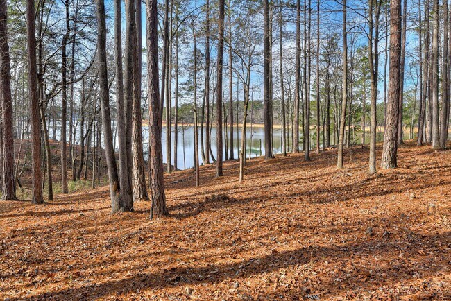 Building Photo - Fully Furnished Monthly Lake Cabin Rental | Available October – March