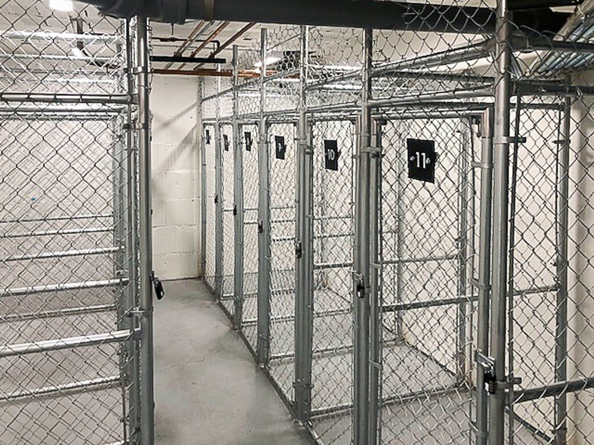 Building Photo - 2523 W Leland Ave