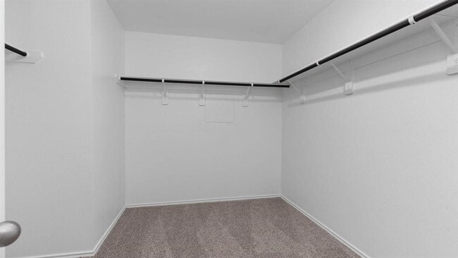 Building Photo - 1438 Windom Court Way